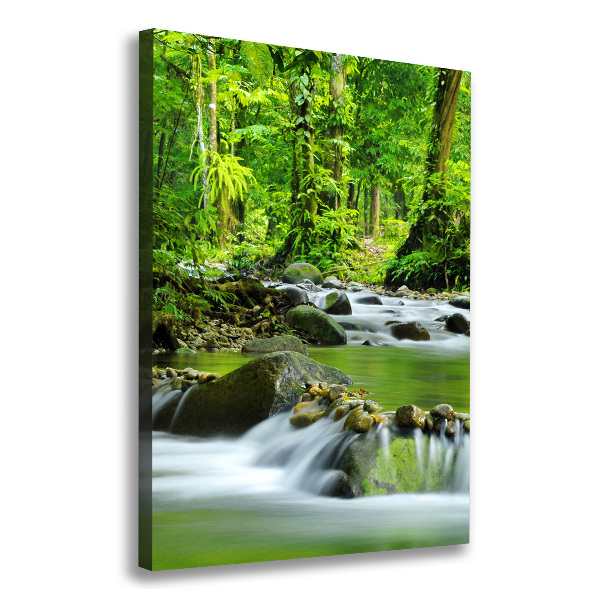 Canvas wall art Mountain stream