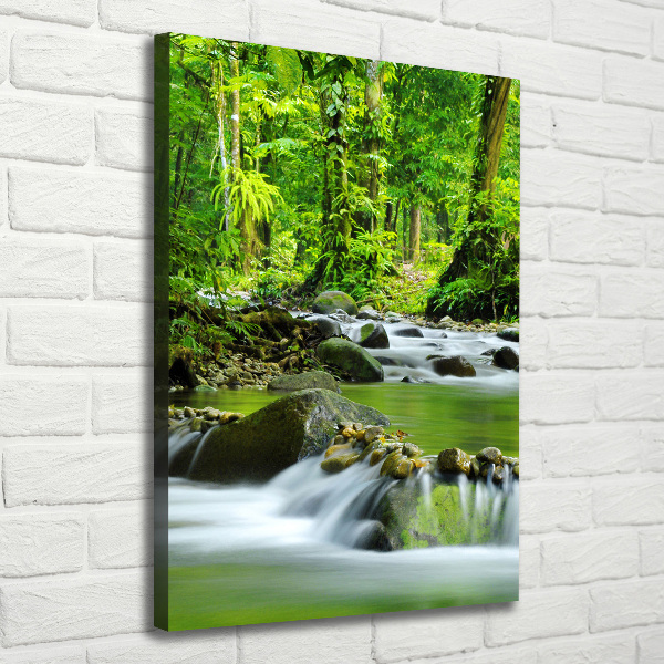 Canvas wall art Mountain stream