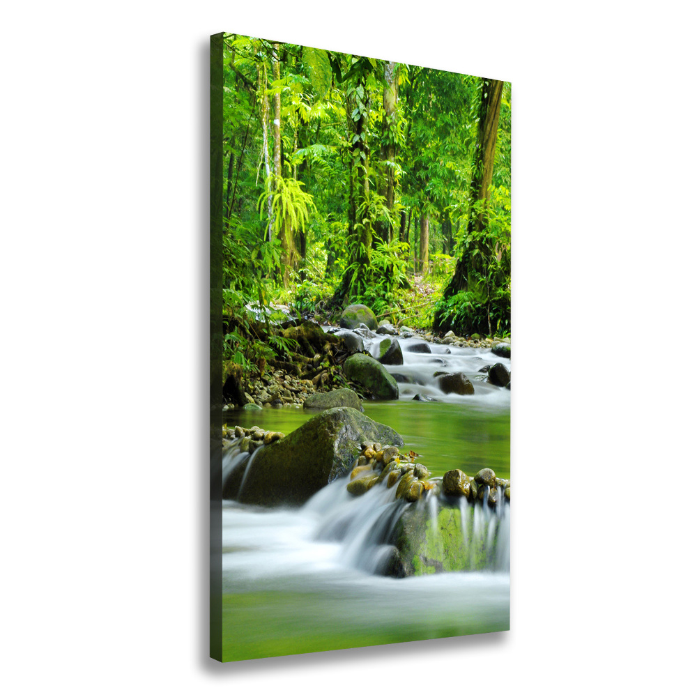 Canvas wall art Mountain stream