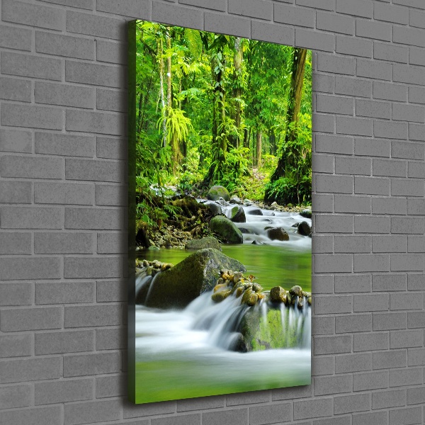 Canvas wall art Mountain stream