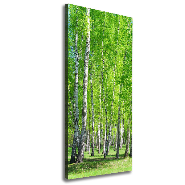 Canvas wall art Birch forest