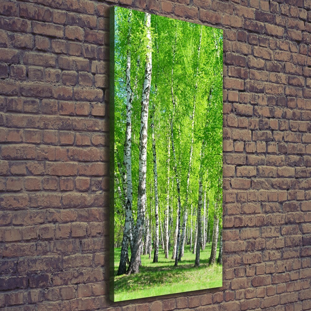 Canvas wall art Birch forest