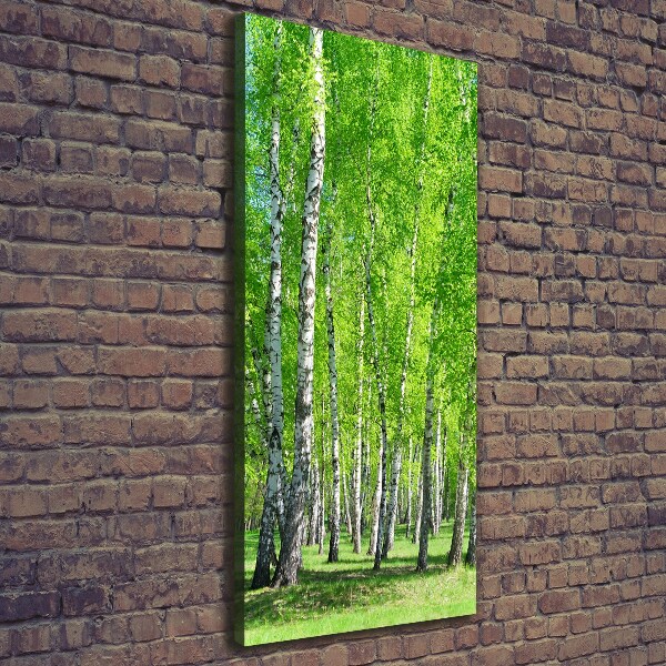 Canvas wall art Birch forest