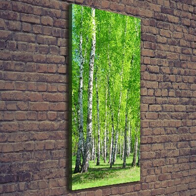 Canvas wall art Birch forest