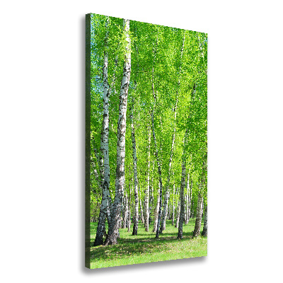 Canvas wall art Birch forest