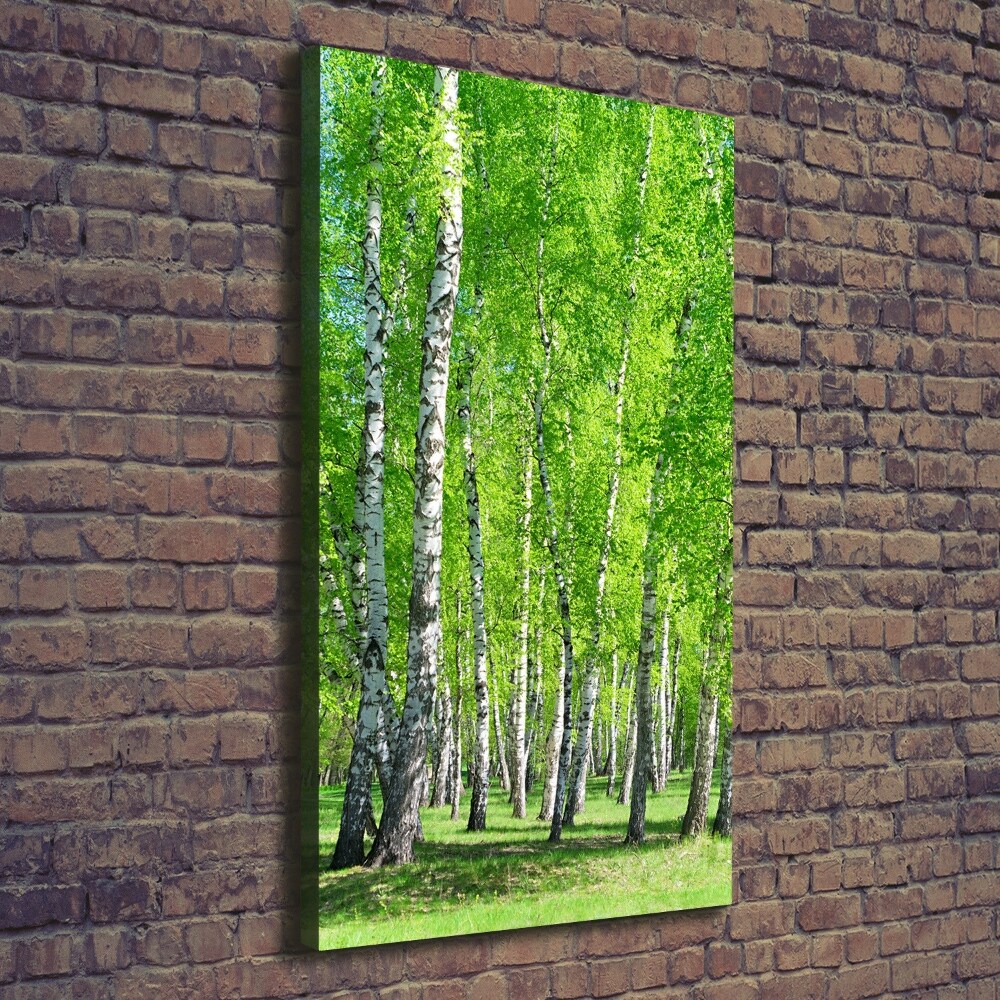 Canvas wall art Birch forest