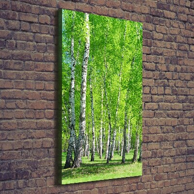 Canvas wall art Birch forest