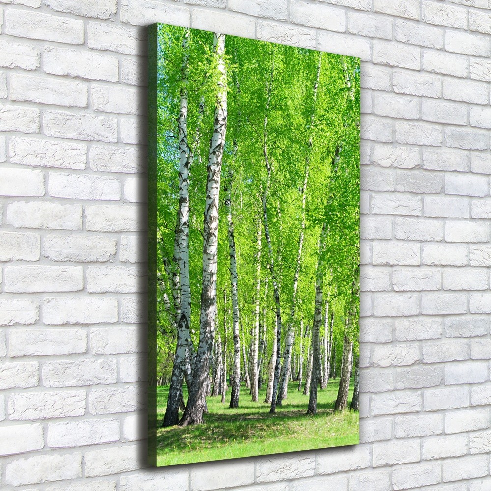 Canvas wall art Birch forest