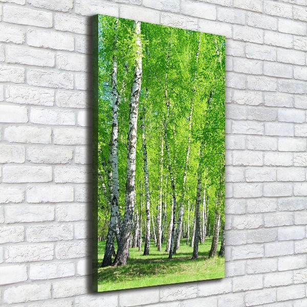 Canvas wall art Birch forest