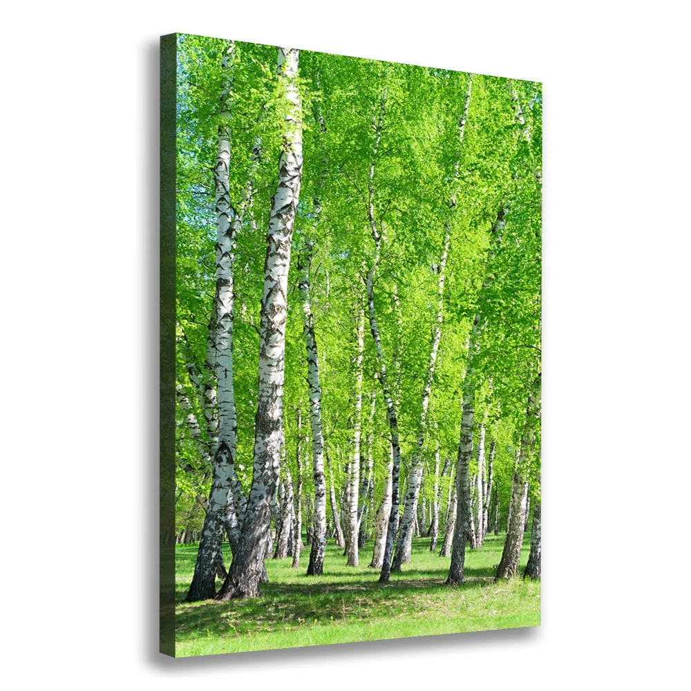 Canvas wall art Birch forest