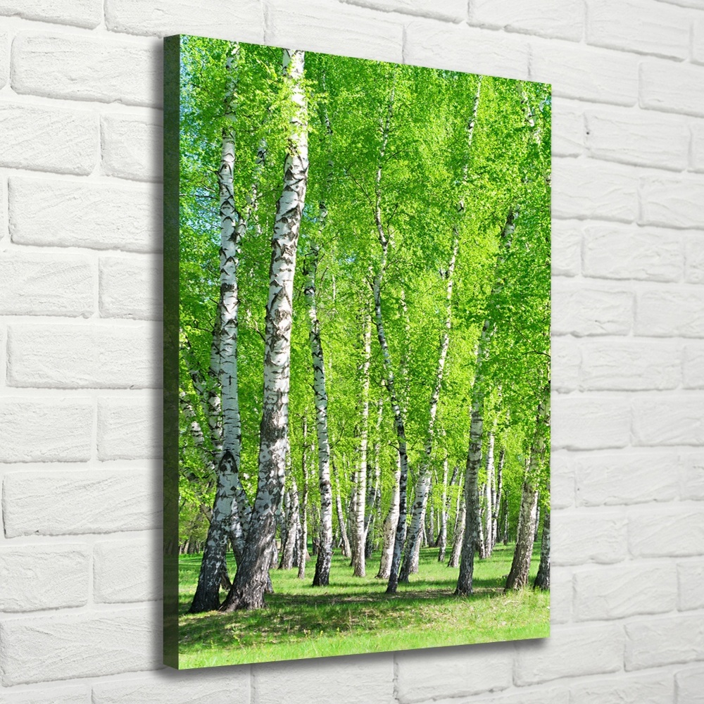 Canvas wall art Birch forest