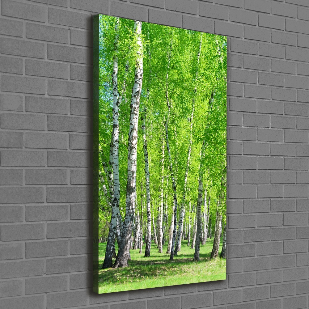 Canvas wall art Birch forest