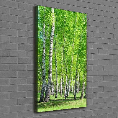 Canvas wall art Birch forest