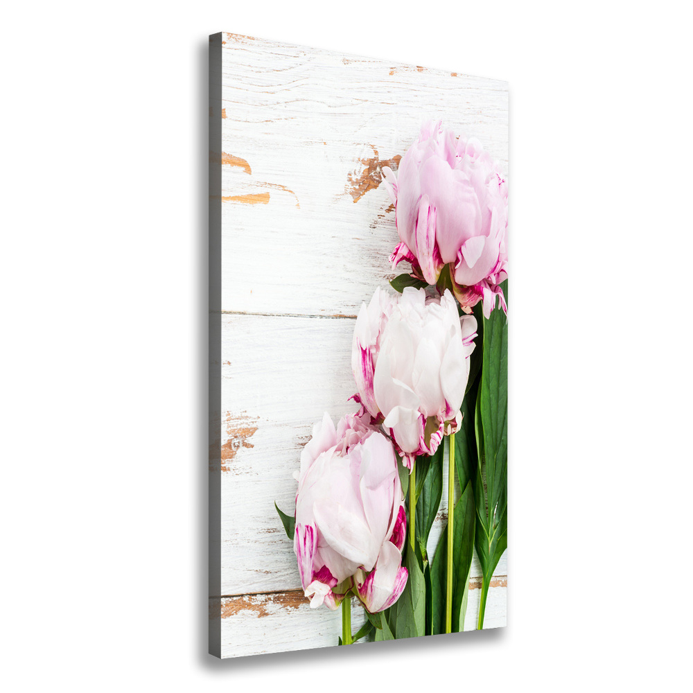 Large canvas wall art Peony