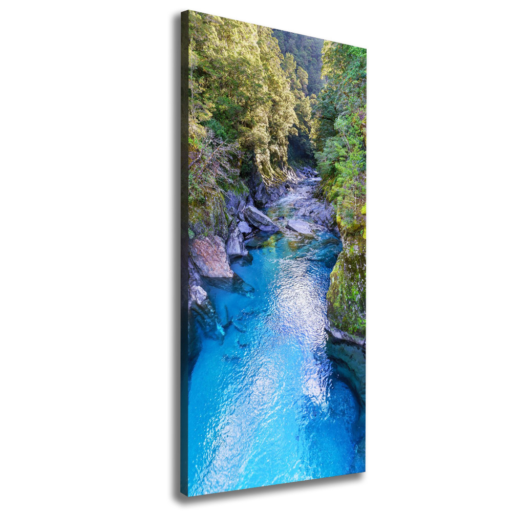 Canvas wall art River in the forest