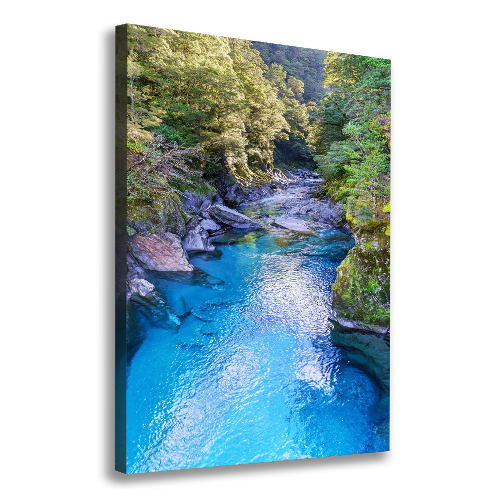 Canvas wall art River in the forest