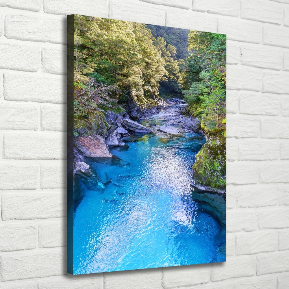 Canvas wall art River in the forest