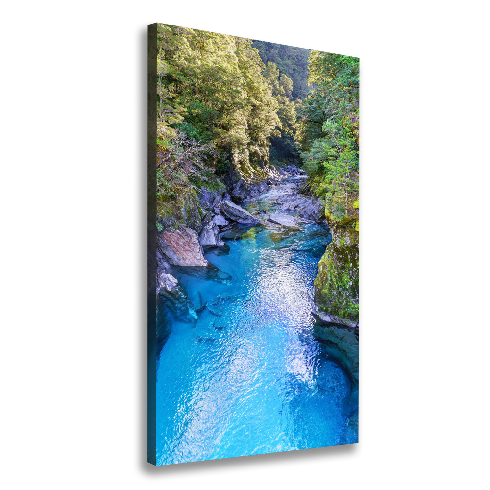 Canvas wall art River in the forest