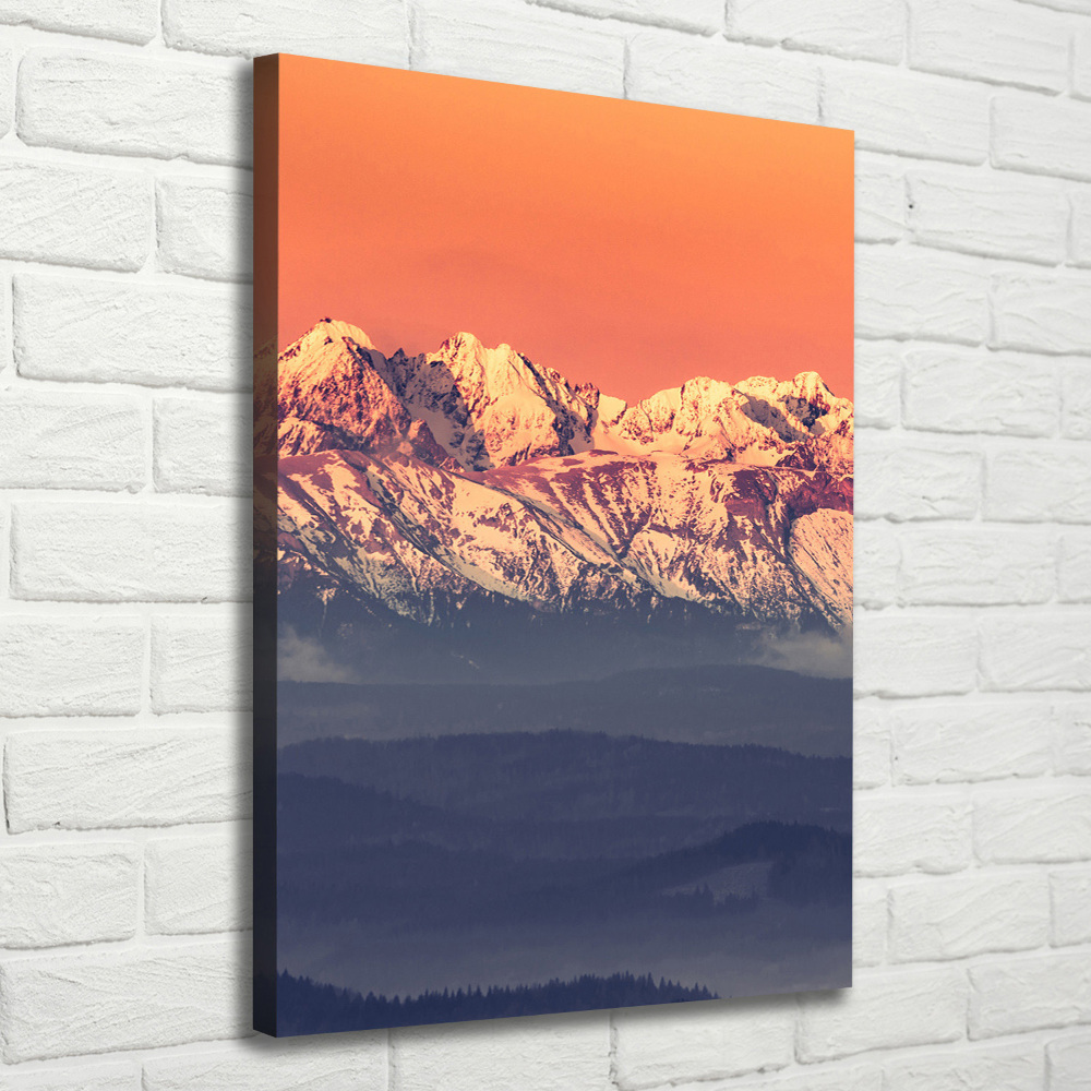 Canvas print Panorama of the Tatra Mountains