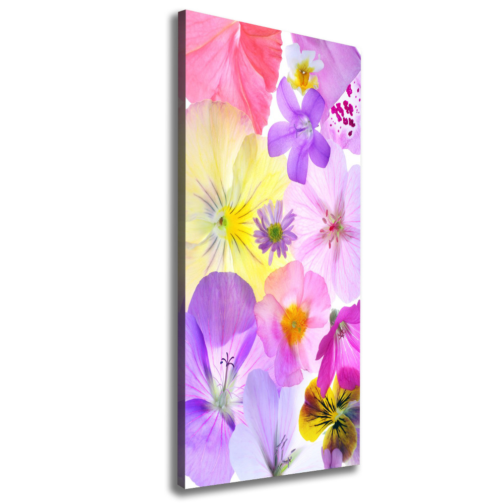 Canvas print Colorful flowers