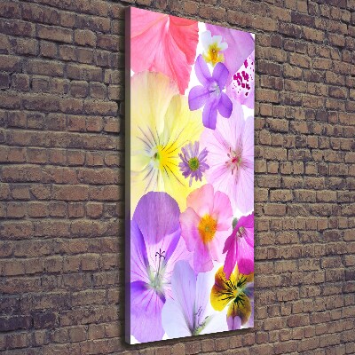 Canvas print Colorful flowers