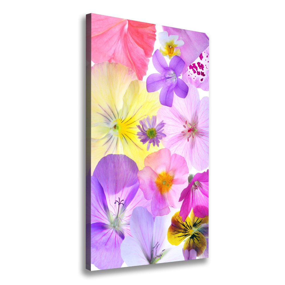 Canvas print Colorful flowers