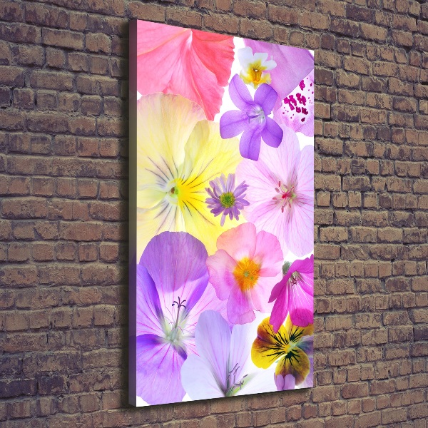 Canvas print Colorful flowers