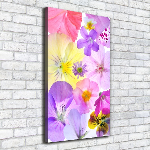 Canvas print Colorful flowers