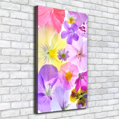 Canvas print Colorful flowers