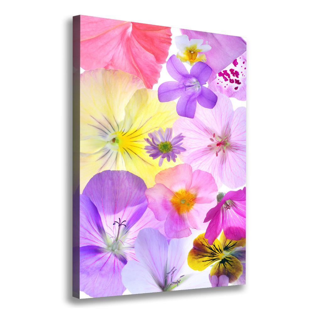 Canvas print Colorful flowers