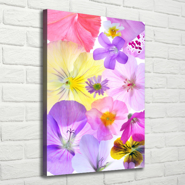 Canvas print Colorful flowers