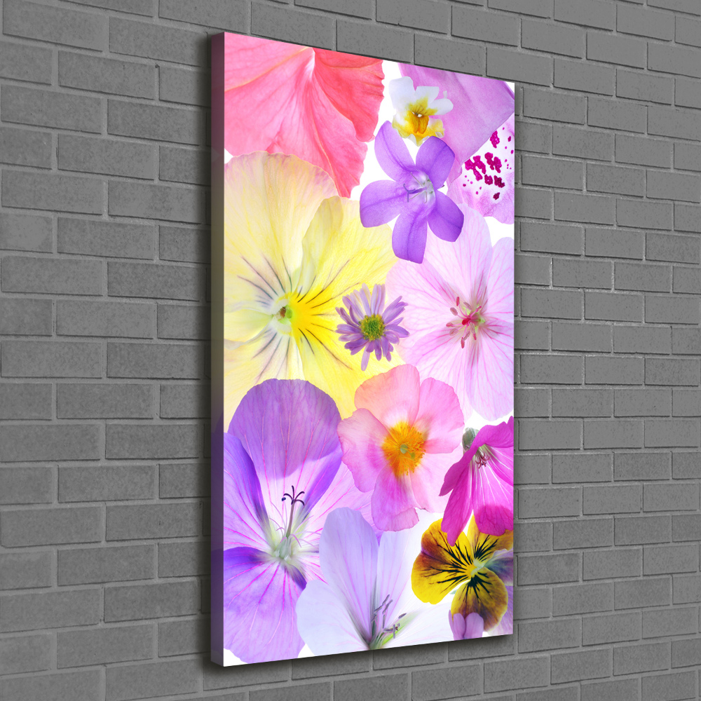 Canvas print Colorful flowers