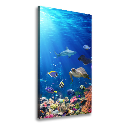 Wall art canvas large Coral reef