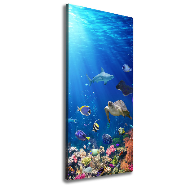 Wall art canvas large Coral reef