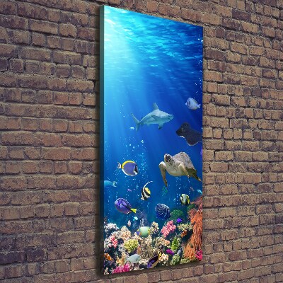 Wall art canvas large Coral reef