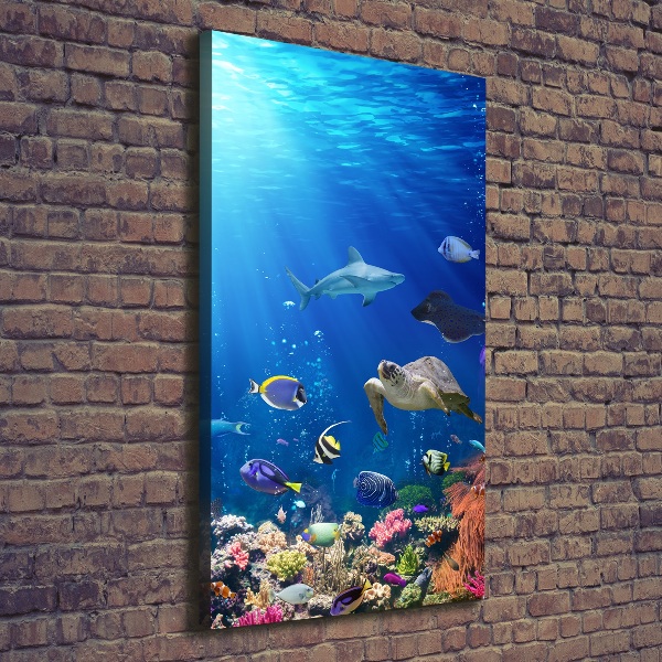 Wall art canvas large Coral reef