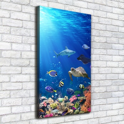 Wall art canvas large Coral reef