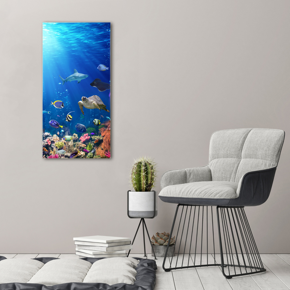 Wall art canvas large Coral reef