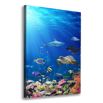 Wall art canvas large Coral reef