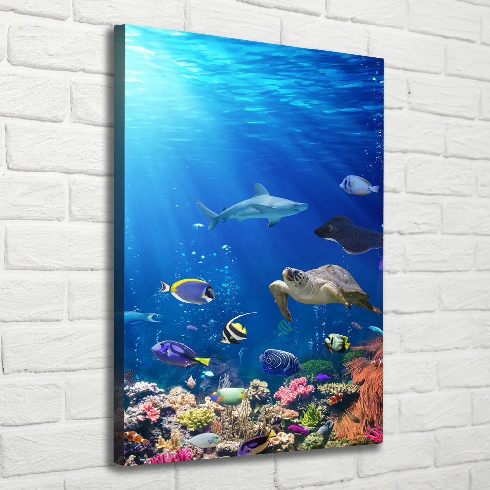 Wall art canvas large Coral reef