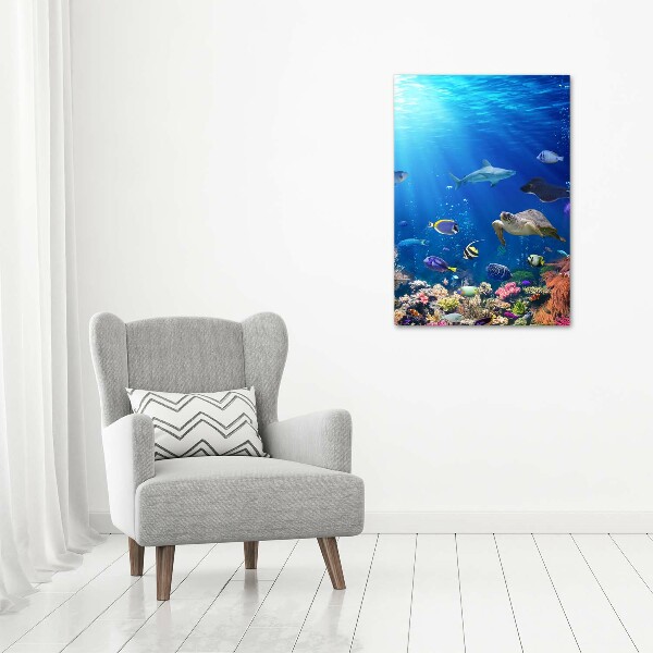 Wall art canvas large Coral reef