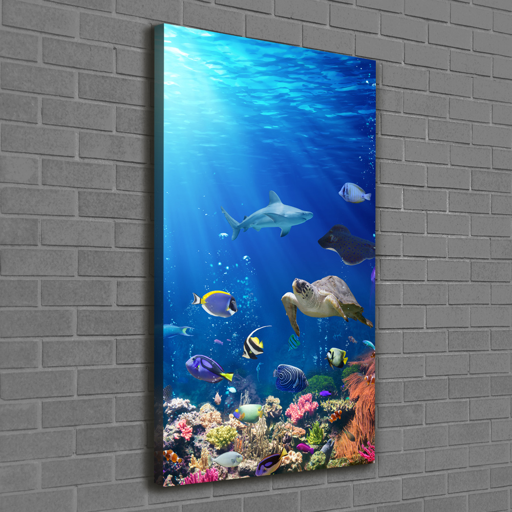 Wall art canvas large Coral reef