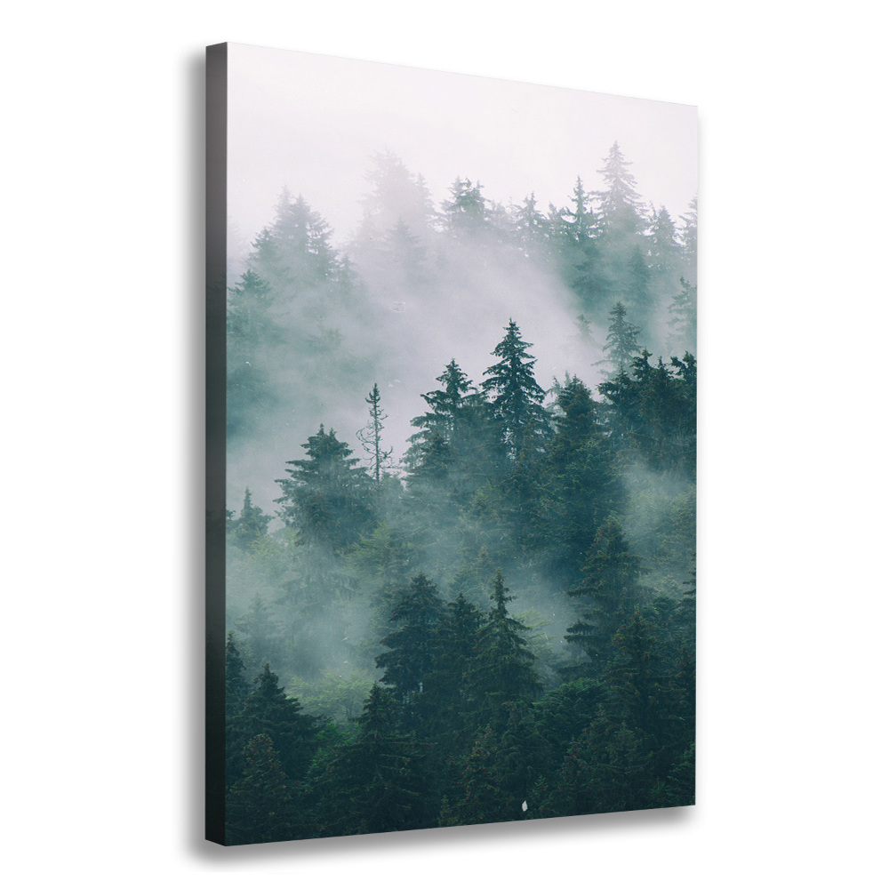 Large canvas wall art Fog over the forest