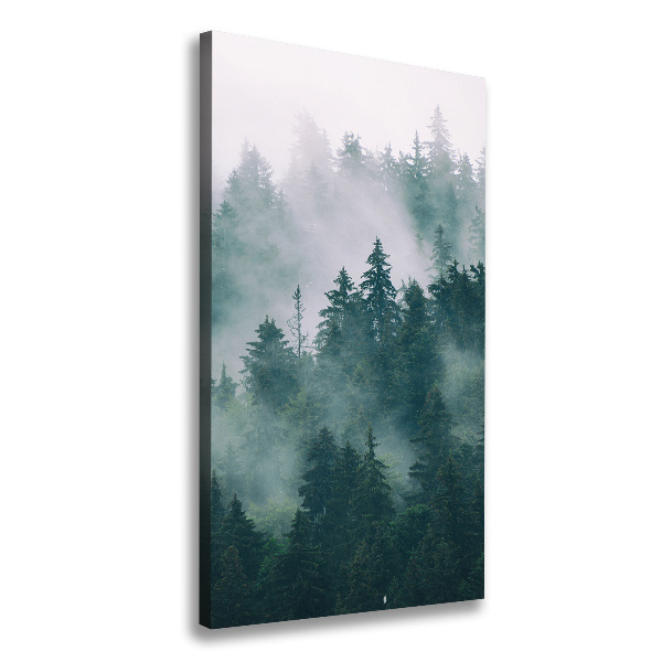 Large canvas wall art Fog over the forest