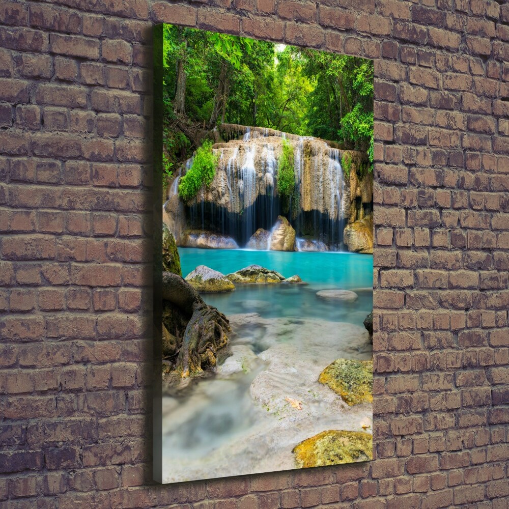 Canvas print Waterfall in the jungle