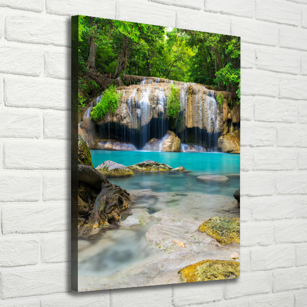 Canvas print Waterfall in the jungle