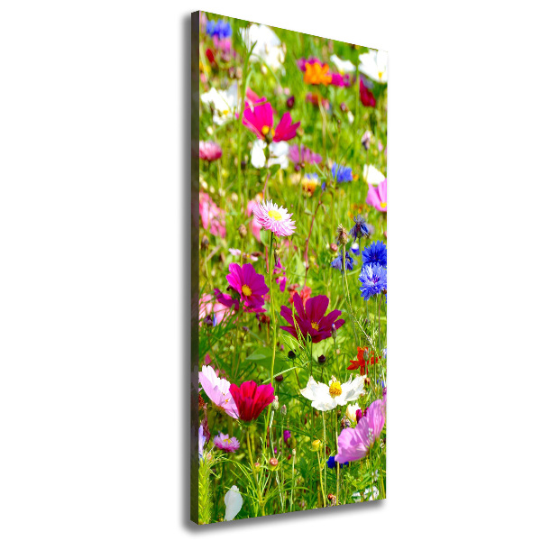 Canvas wall art Field flowers