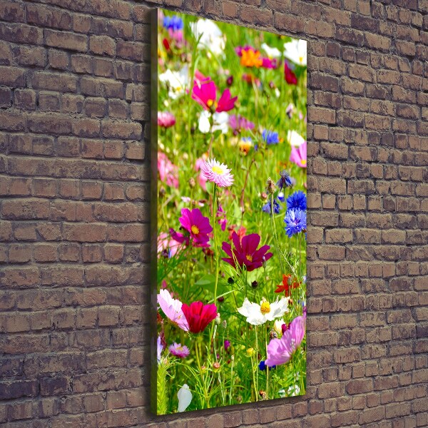 Canvas wall art Field flowers