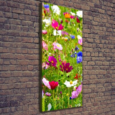 Canvas wall art Field flowers