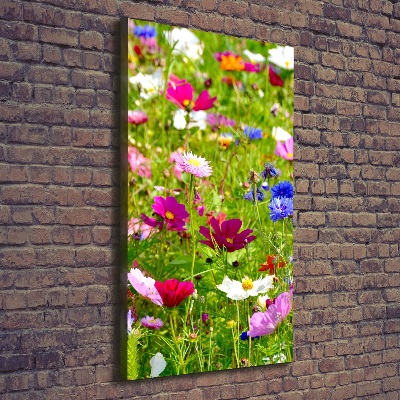 Canvas wall art Field flowers